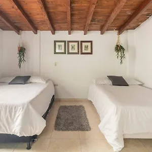 https://letto-hostal.colombiamedellinhotels.com